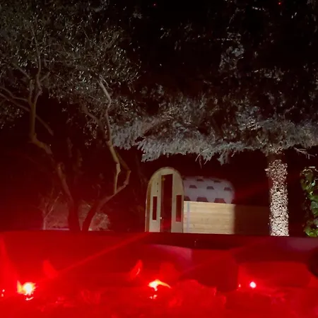 Luxury Experience In Center Of With Heated Pool And Jacuzzi Villa Zadar