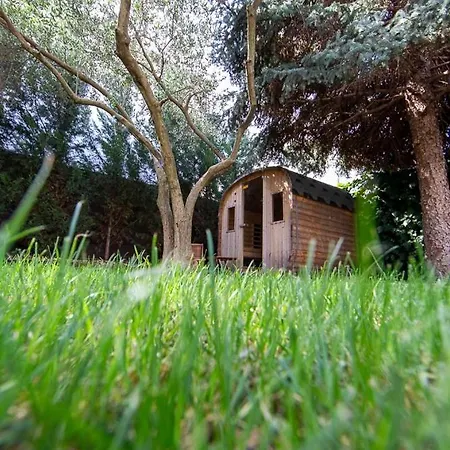 Luxury Experience In Center Of With Heated Pool And Jacuzzi 别墅 *